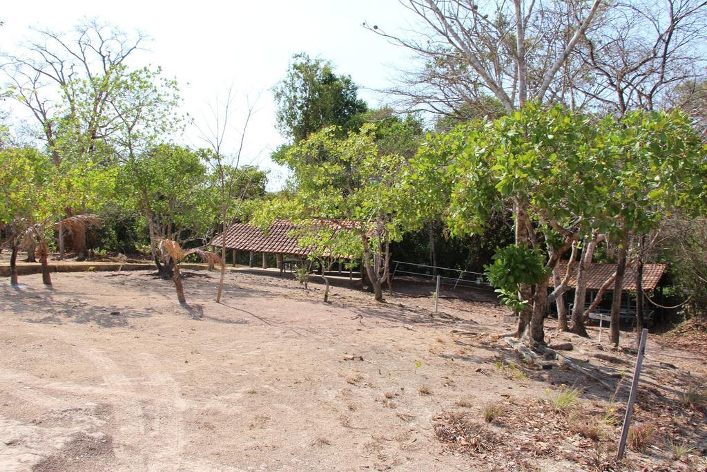 Hotel Fazenda Arara Azul Carolina  Exterior foto
